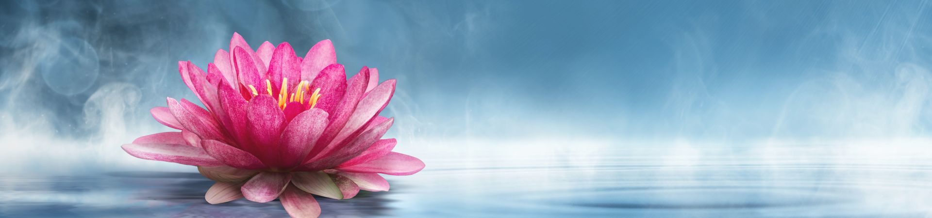 trillium yoga meditation lotus fade 93 2